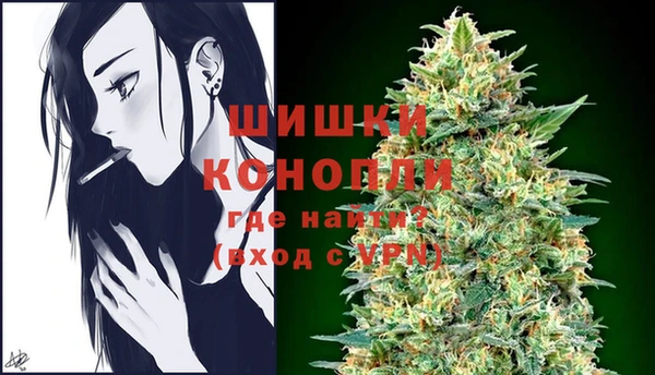 дмт Дмитриев