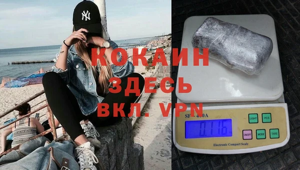 дмт Дмитриев