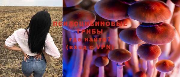 ALPHA-PVP Дмитров