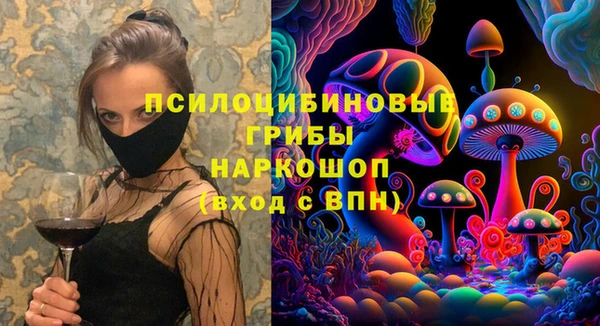 дмт Дмитриев