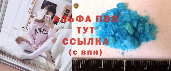 дмт Дмитриев